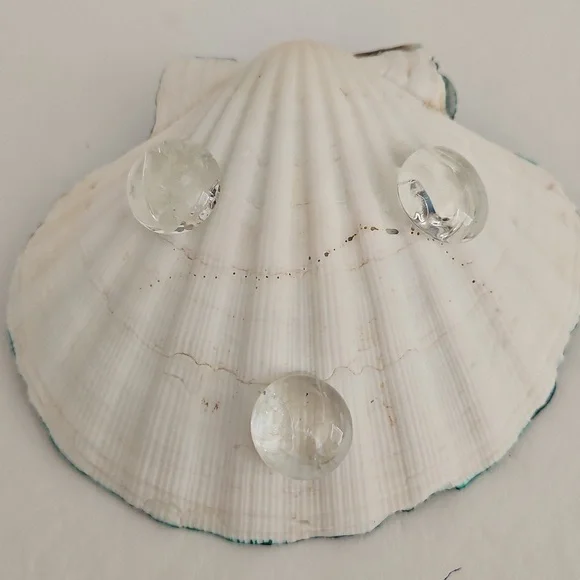 Shell Handcrafted for your Trinkets - Picture 5 of 5